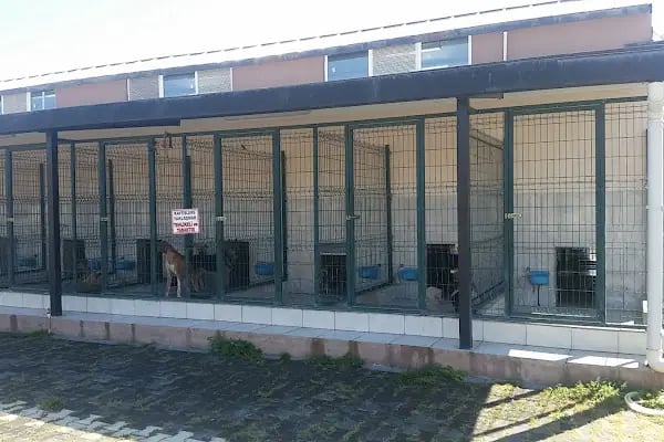 İnegol Belediyesi Sokak Hayvanları Tedavi Merkezi - Resim 7