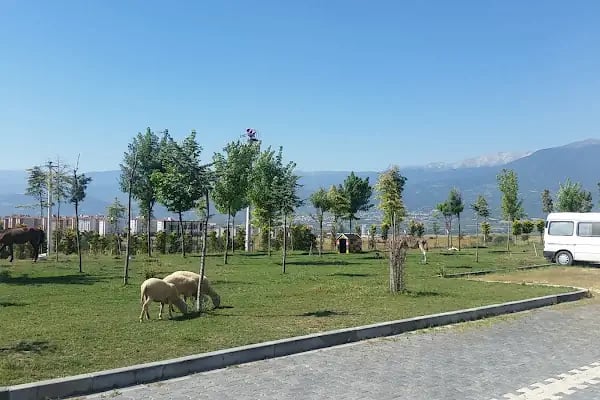 İnegol Belediyesi Sokak Hayvanları Tedavi Merkezi - Resim 3