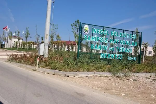 İnegol Belediyesi Sokak Hayvanları Tedavi Merkezi - Resim 5