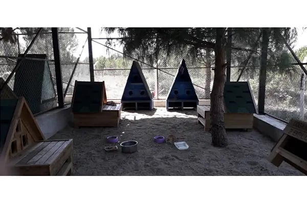 İnegol Belediyesi Sokak Hayvanları Tedavi Merkezi - Resim 13