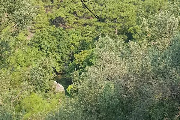 Kuzgun Kamp - Resim 12
