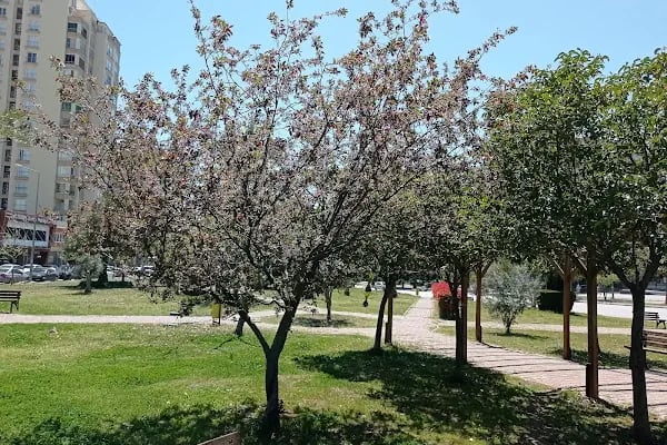 Özel Medline Adana Hastanesi - Resim 15