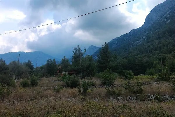 Şişmanın Yeri Et Lokantası - Resim 12