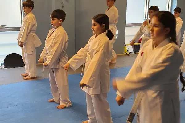 ADA KARATE AKADEMİ - Resim 3