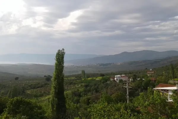 Adliye köyü cami - Resim 1