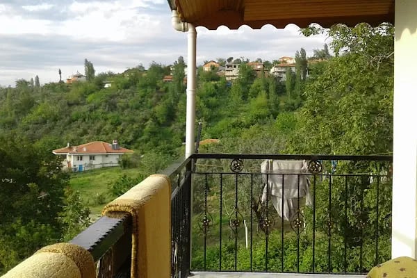 Adliye köyü cami - Resim 4