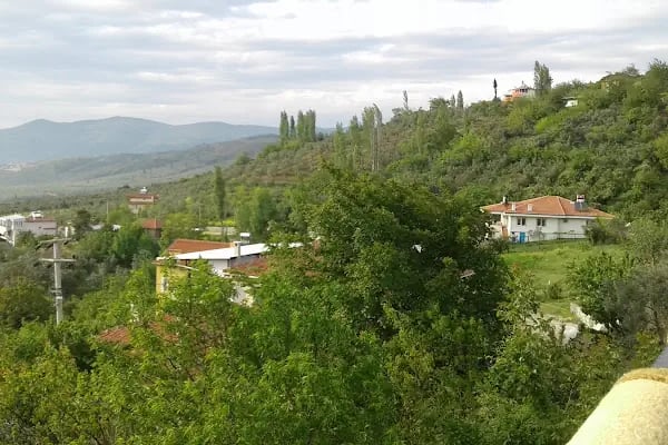 Adliye köyü cami - Resim 7
