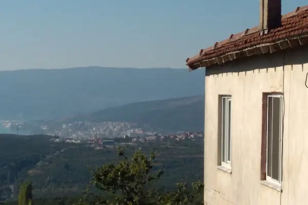 Adliye köyü cami - Resim 3