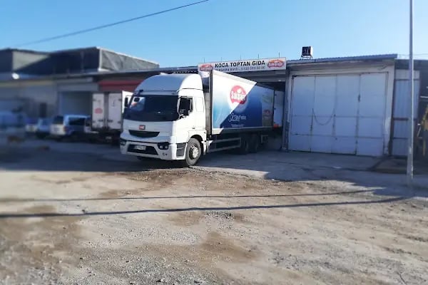 KOCA GIDA SAKIPAĞA BERGAMA - Resim 2