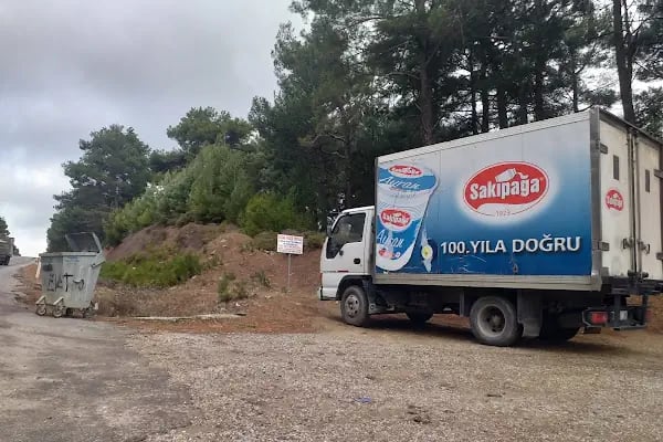 KOCA GIDA SAKIPAĞA BERGAMA - Resim 3