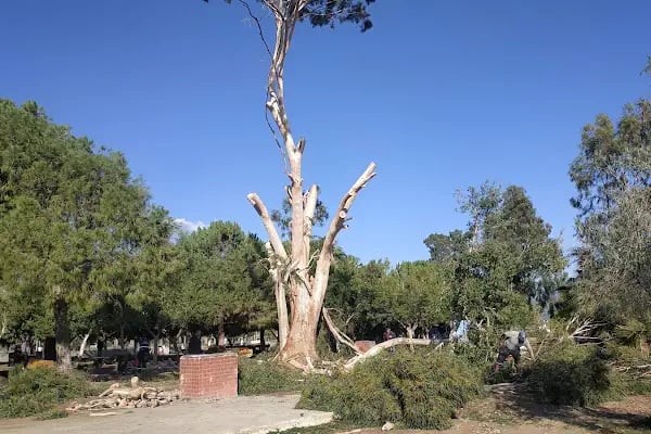 Bozyazı barınak dinlenme ve kamp yeri - Resim 4