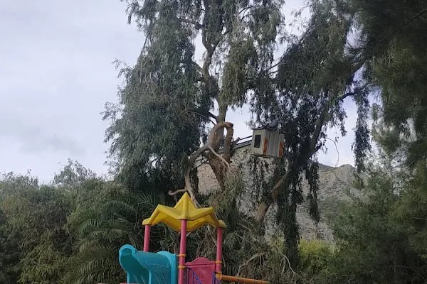 Bozyazı barınak dinlenme ve kamp yeri - Resim 18