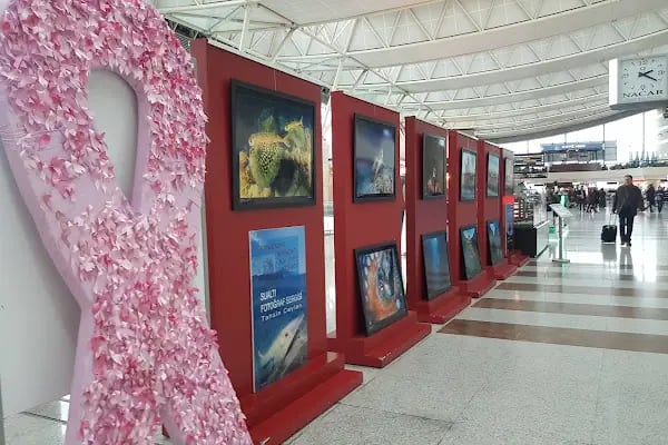 Esenboğa Havalimanı İç Hatlar - Resim 19
