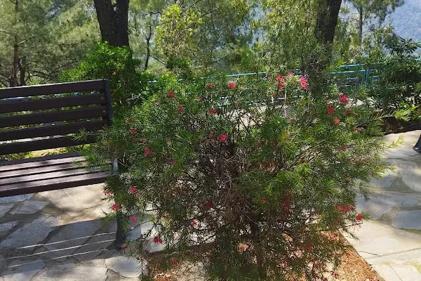 Teleferik girişi bilet gişe - Resim 10
