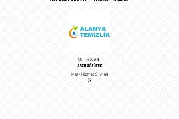 ALANYA TEMİZLİK HİZMETLERİ - Resim 11