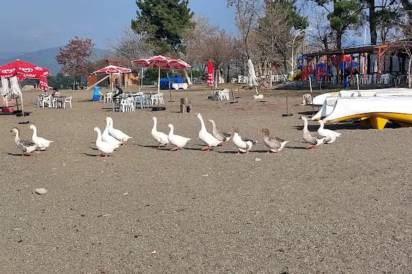 İznik Gölü Kamp Alanı - Resim 12