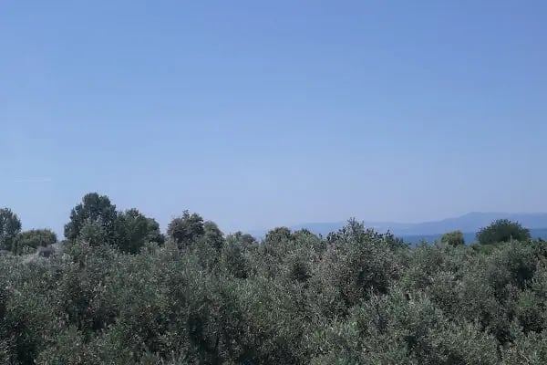 İznik Gölü Kamp Alanı - Resim 17
