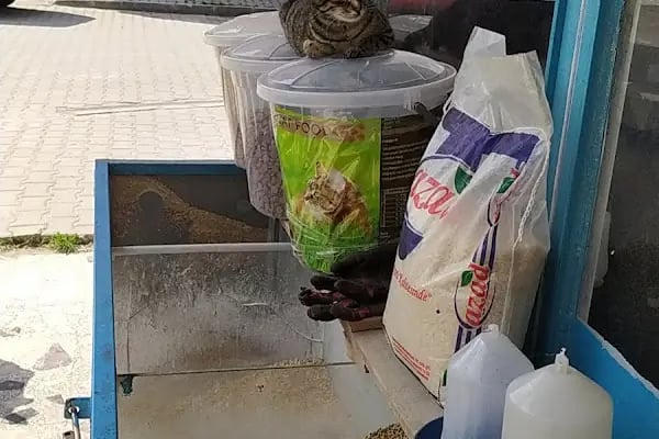 Tural Gübre ve Tarım Ürünleri - Resim 1