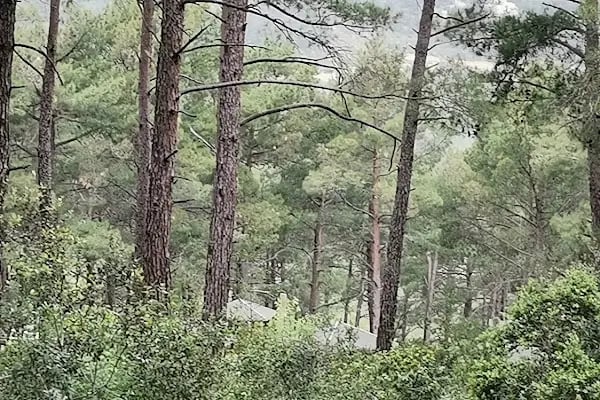 Karaisalı belediye piknik alanı - Resim 11