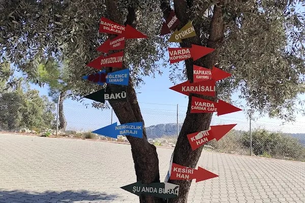 Karaisalı belediye piknik alanı - Resim 12