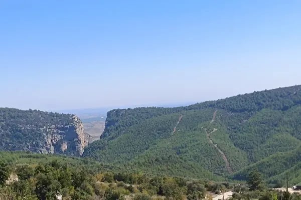 Karaisalı belediye piknik alanı - Resim 3