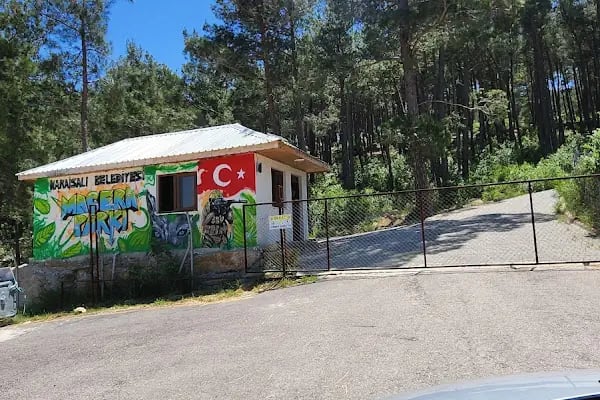 Karaisalı belediye piknik alanı - Resim 5