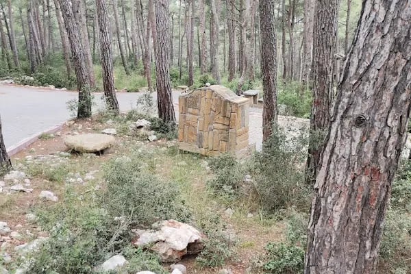 Karaisalı belediye piknik alanı - Resim 8