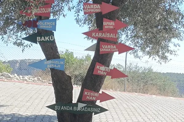 Karaisalı belediye piknik alanı - Resim 4