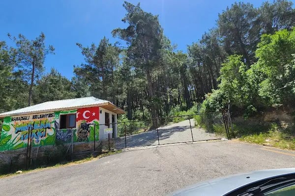 Karaisalı belediye piknik alanı - Resim 14