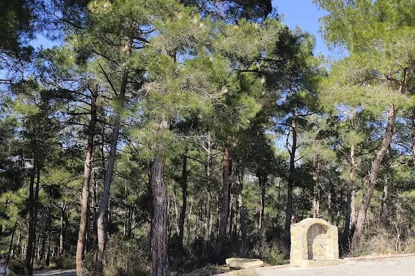 Karaisalı belediye piknik alanı - Resim 18