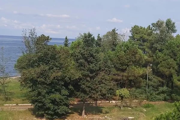 Medicalpark Trabzon Yıldızlı Hastanesi Otoparkı - Resim 11