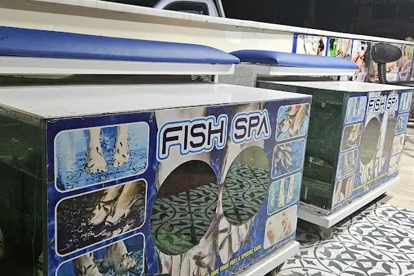 Alanya Manicure Pedicure Dr.Fish Spa - Resim 2