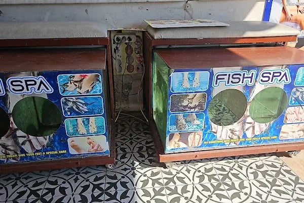 Alanya Manicure Pedicure Dr.Fish Spa - Resim 4