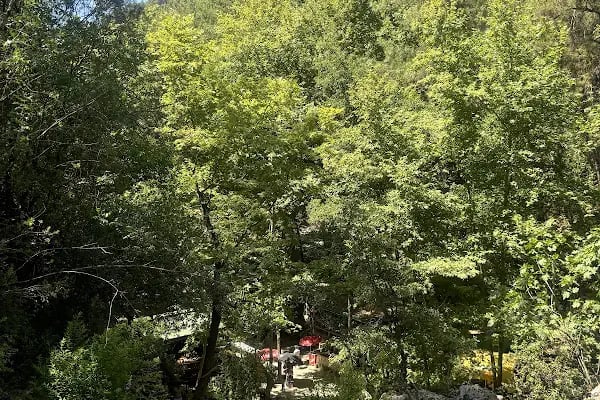 GİZLİ CENNET ŞELALESİ RESTAURANT - Resim 11