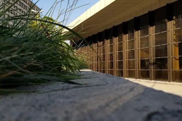 İBB İstanbul Üniversitesi Avcılar Spor Kompleksi - Resim 8