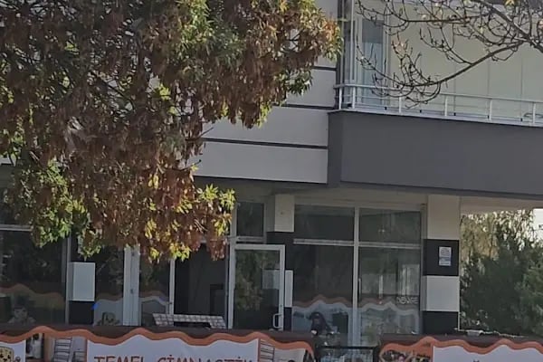 Petibuddy Çocuk Hareket Merkezi - Resim 12