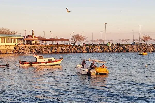 Menekşe Sahil - Resim 9