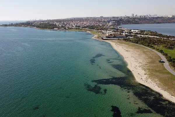 Menekşe Sahil - Resim 17