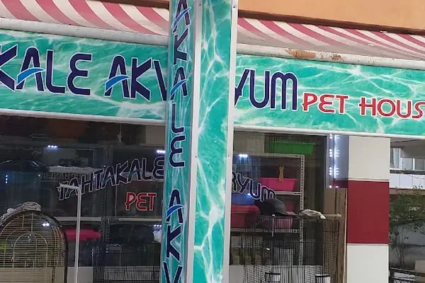 Tahtakale Akvaryum Petshop - Resim 2