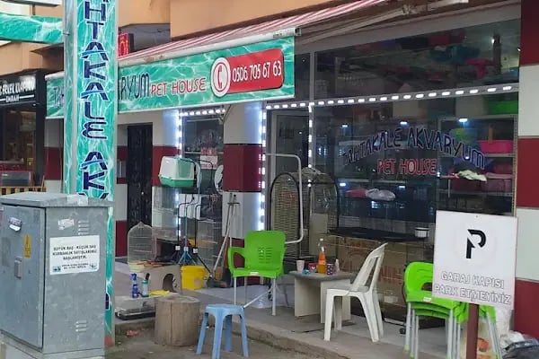 Tahtakale Akvaryum Petshop - Resim 5