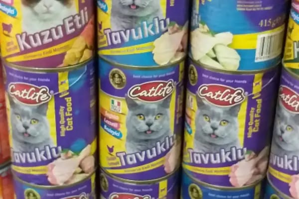 Tahtakale Akvaryum Petshop - Resim 16