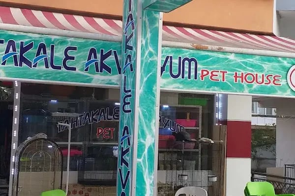 Tahtakale Akvaryum Petshop - Resim 8