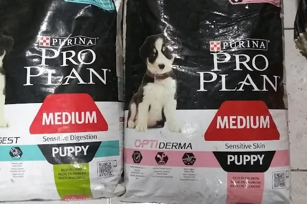 Tahtakale Akvaryum Petshop - Resim 6
