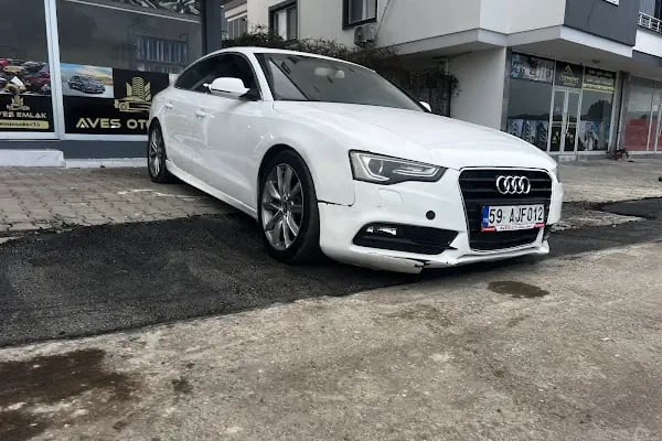 Aves Emin Usta Rent A Car - Resim 8