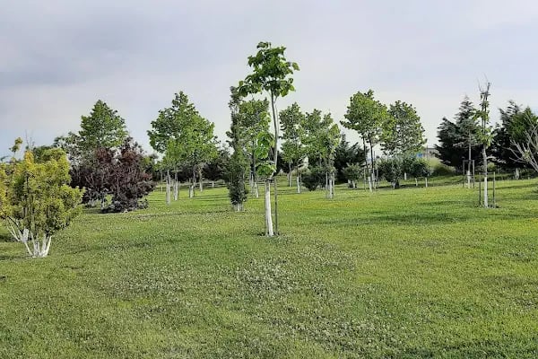 ARNAVUTKÖY BELEDİYESİ HOBİ PARKI - Resim 15