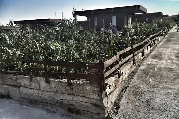 ARNAVUTKÖY BELEDİYESİ HOBİ PARKI - Resim 13