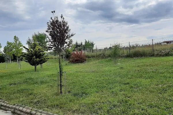 ARNAVUTKÖY BELEDİYESİ HOBİ PARKI - Resim 4