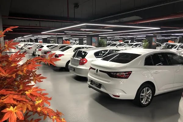 Otonom Cars - Resim 4