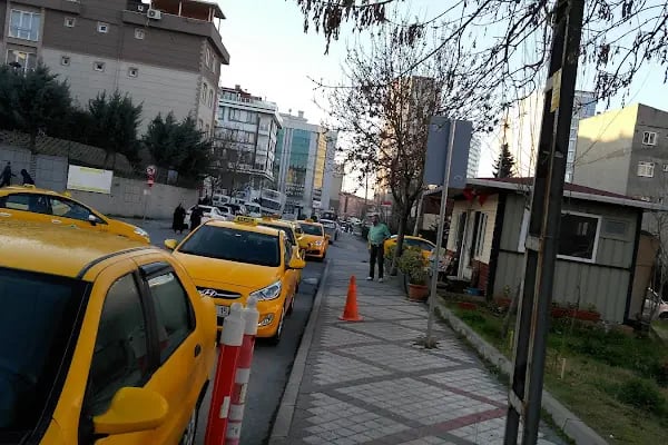 Güneşli gardenya taksi - Resim 1