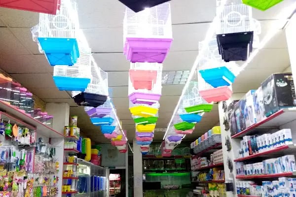 EMPATİ PETSHOP - Resim 16